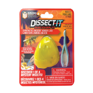 Dissect-It Discover-It Synthetic Ancient Amber Lab