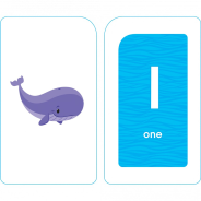 Flash Cards - Numbers 0 - 25