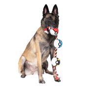 Pet Rope Toy Poke Balls