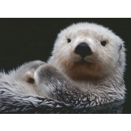 Ravensburger 500 Piece Otter