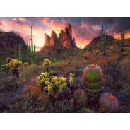 Ravensburger 500 Piece Puzzle Cactus
