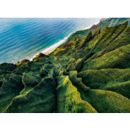Ravensburger 500 Piece Puzzle At Power Of Nature
