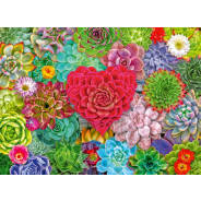 Ravensburger 500Pc Puzzle Succulent Love