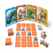 Collecta Prehistoric World Memory Game