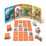Collecta Oceans And Ice Memory Game