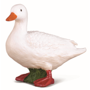 White Duck