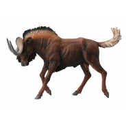 Black Wildebeest
