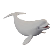 Beluga Whale Large