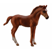 Thoroughbred Foal Standing Chestnut Medium