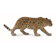 Amur Leopard X Large