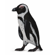South African Penguin Small