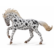 Knabstrupper Mare 