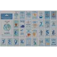 BABY MILESTONE CARD BOY