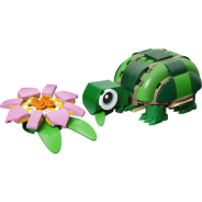 Turtle with a Water Lily Flower