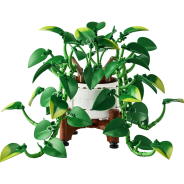LEGO® Botanicals Hanging Golden Pothos Building Set (11512)