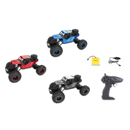 Rover Off-road Climbing Car RC