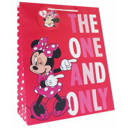 Assorted Large Character Gift Bags