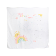 Milestone Blanket - Rainbow