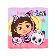 Gabby's Doll House Face Cloth