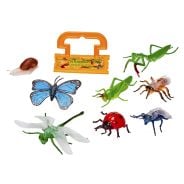 Garden Insects