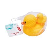 Plastic Ducks 2 Pc Set 