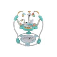 Bounce Jumperoo - Koala