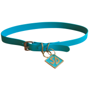 Biothane Dog Collar XLrg