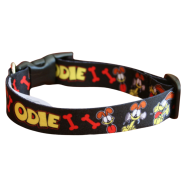 Webbing Dog Collar Med