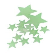 Reggies Glow In The Dark Stars