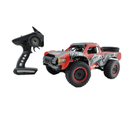 Reggies Premium Sandstorm RC Dune Racer 