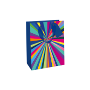 Medium Colourful Stripes Gift Bag