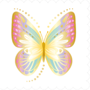 Lace Butterfly Card