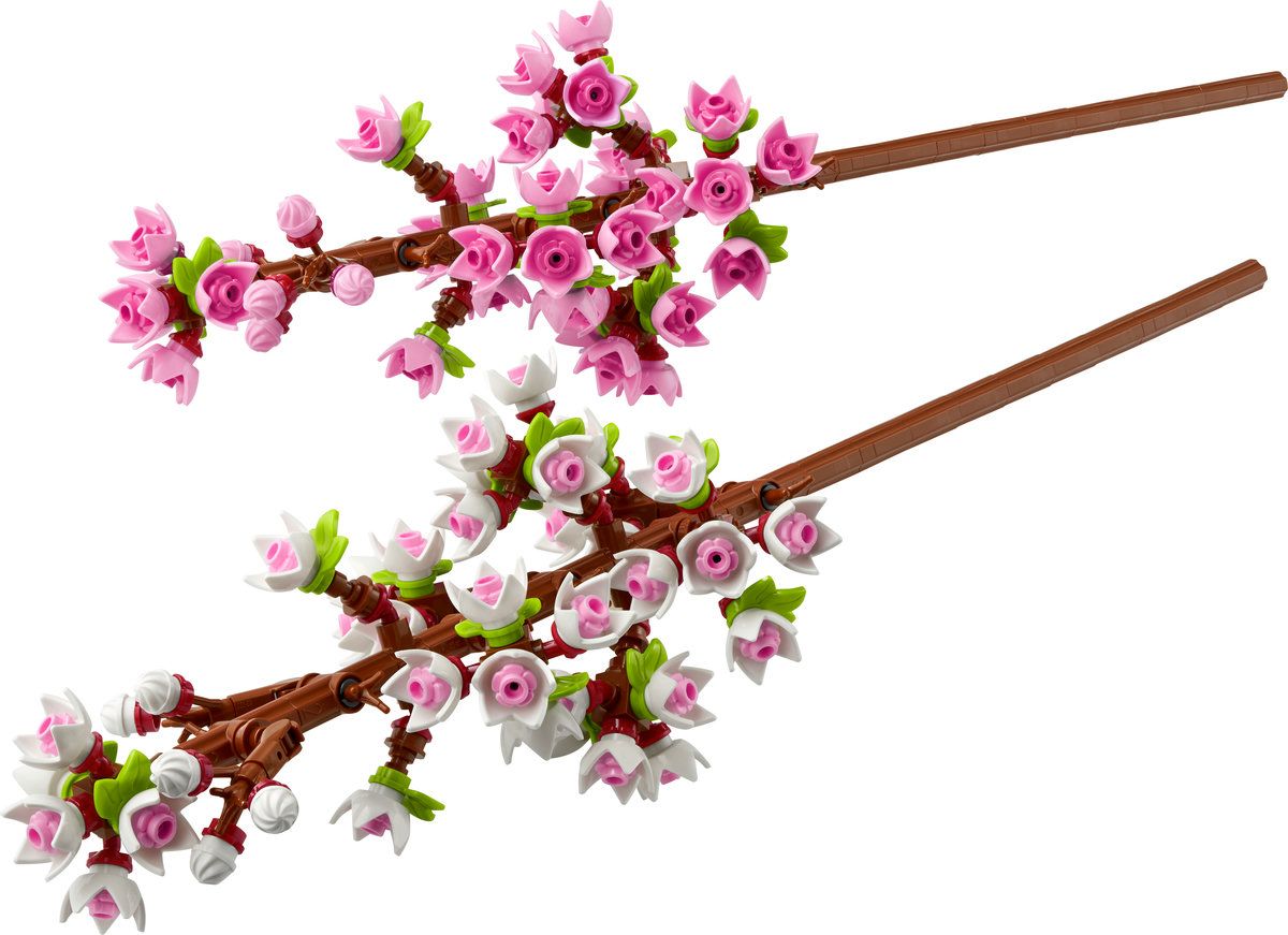LEGO Cherry Blossoms Celebration Gift 40725 | Toys R Us Online