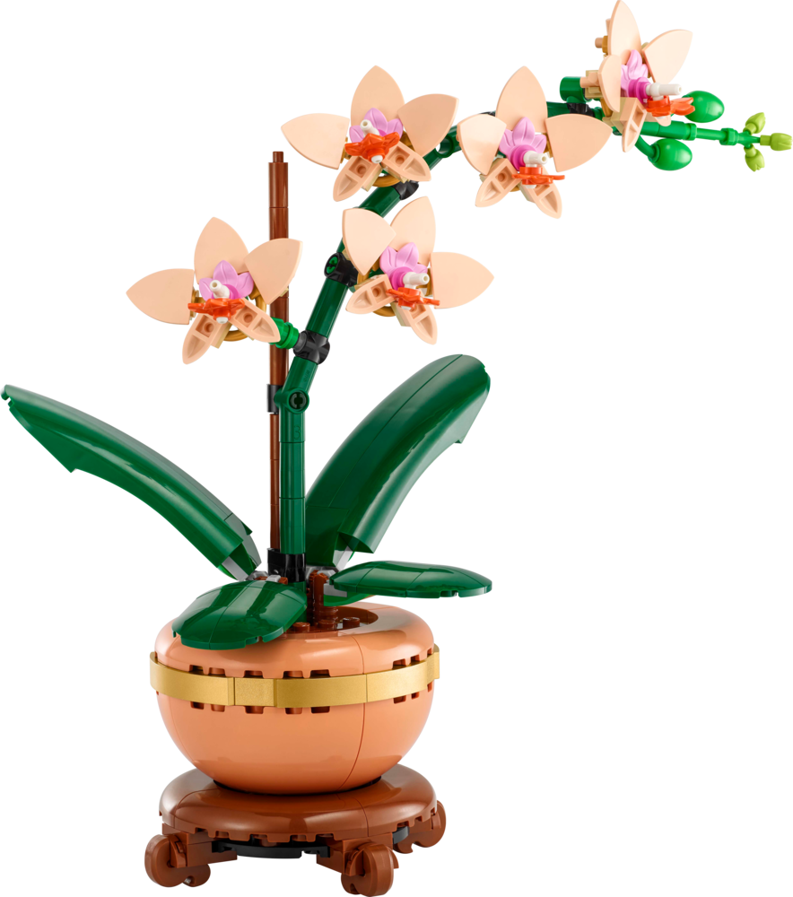 LEGO Botanicals Mini Orchid (10343) | Toys R Us Online