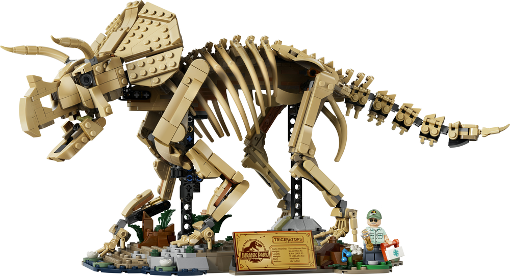 LEGO® Jurassic World Dinosaur Fossils Triceratops (77985) | Toys R