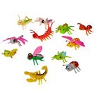 Insects