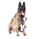 Pet Rope Toy Poke Balls