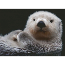 Ravensburger 500 Piece Otter