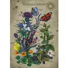 Ravensburger 1000 Piece Puzzle Lifecircle Butterfly