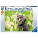 Ravensburger Cats Photo Puzzle 500Pc