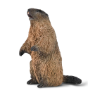 Collecta Wildlife Marmot Small