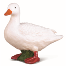 White Duck