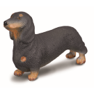 Dachshund Small