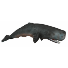 Sperm Whale X Large