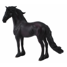 Friesian Stallion X Large