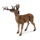 Red Deer Stag Large