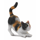 Stretching House Cat Small