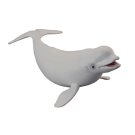Beluga Whale Large