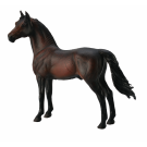 Morgan Stallion Bay Xlarge