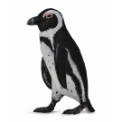 South African Penguin Small